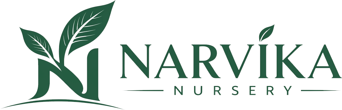 Narvika Nursery